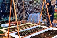 How to Build a Pea Trellis: DIY Step-by-Step Guide