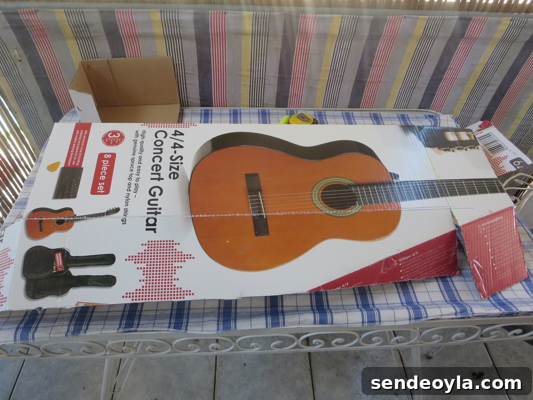 cardboard box from guitar, Hiding under the wrong direction www.theboondocksblog.com