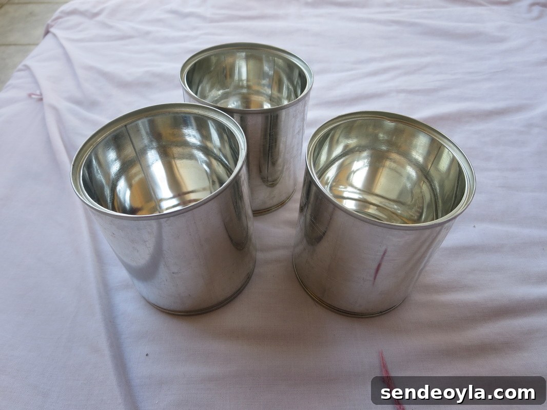 Tin cans to be repurposed Reorganizing the Organizer www.theboondocksblog.com