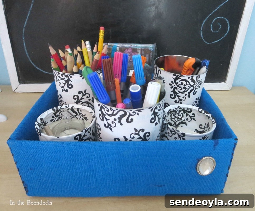 After Reorganizing the Organizer www.theboondocksblog.com