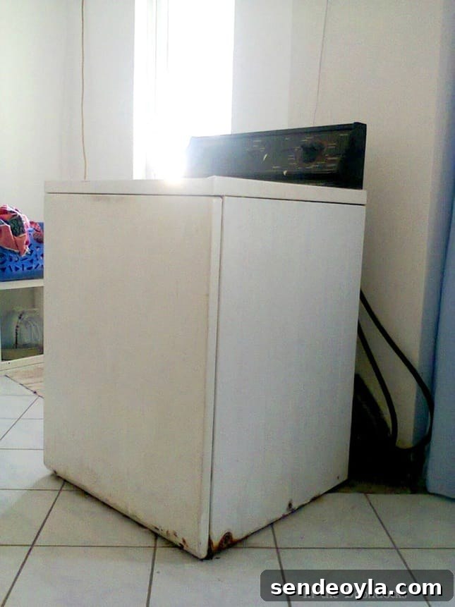 Hide Your Washing Machine: Space-Saving Concealment Ideas 3 the washing machine to be hidden