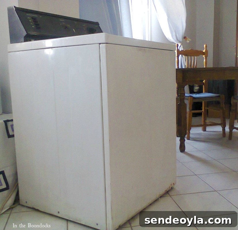 Hide Your Washing Machine: Space-Saving Concealment Ideas 6 Before the partition