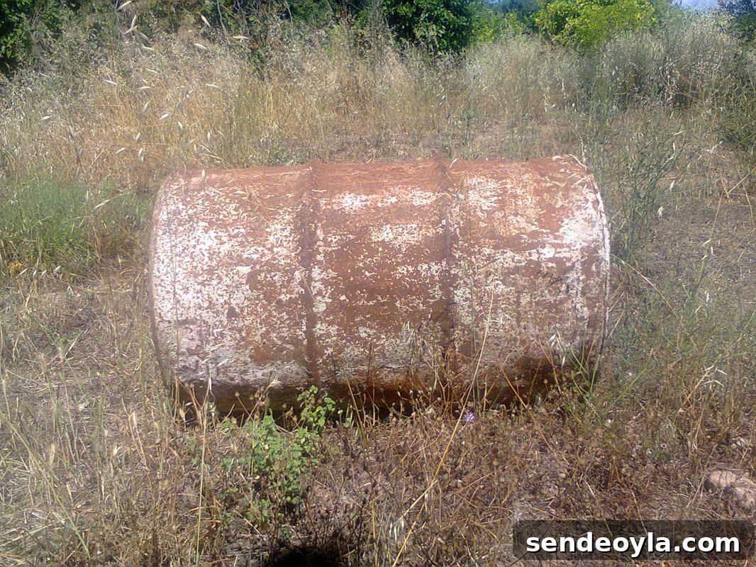 Before, Revamped Olive Oil Barrels