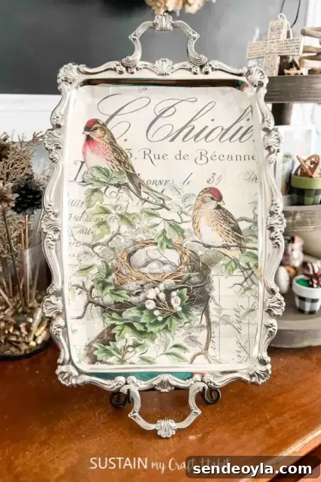 How to Upcycle a Vintage Serving Tray into a Stylish Home Accent 10 Large silver platter decoupaged with vintage bird imagery