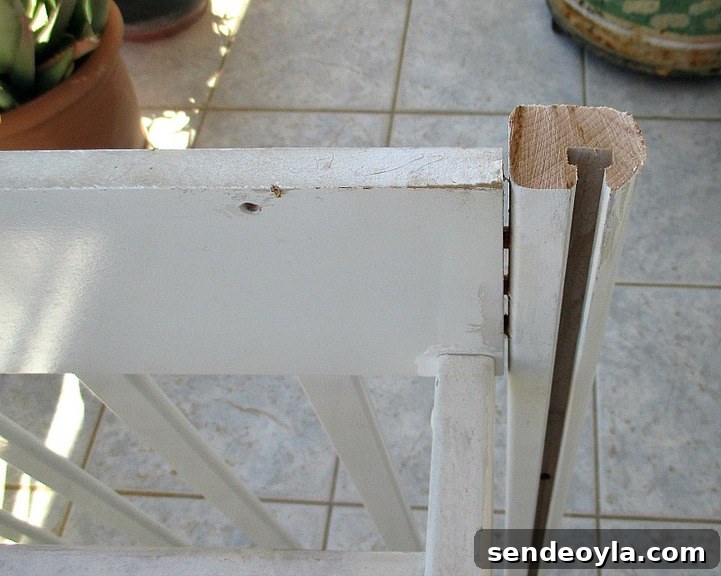 Leg cut off