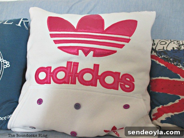 A special pillow for a friend