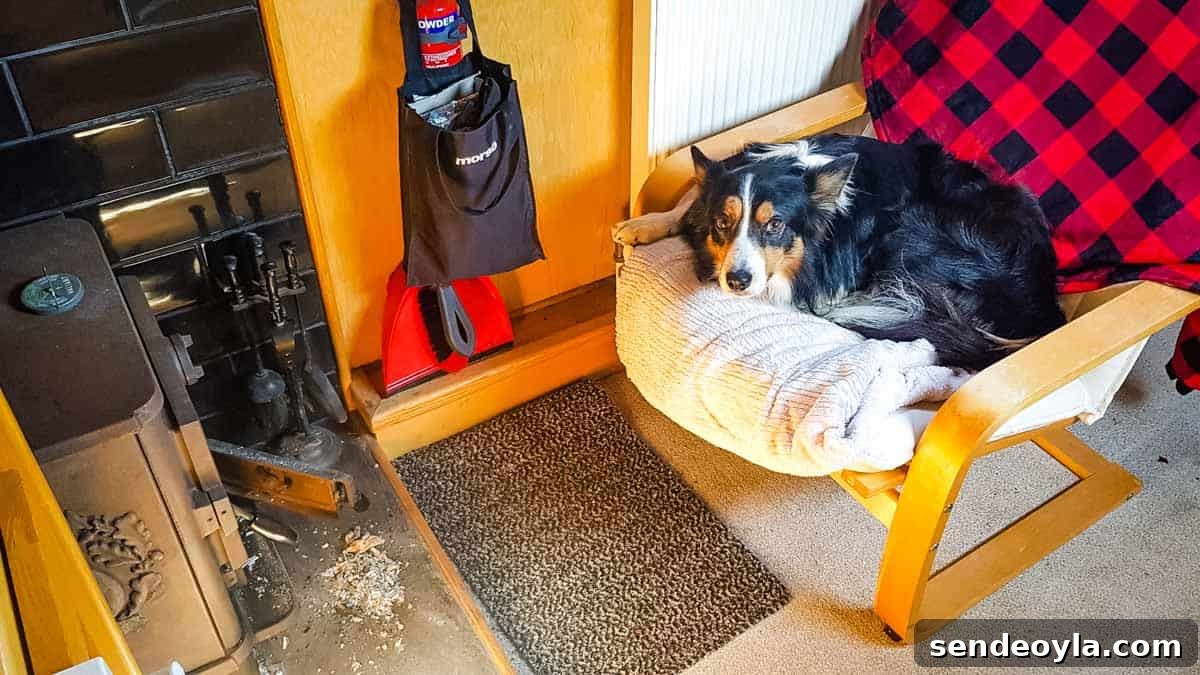 Inside a 57ft Reverse-Layout Narrowboat: Interior Tour 16 Tri Border Collie dog on IKEA armchair in front of fire on narrowboat