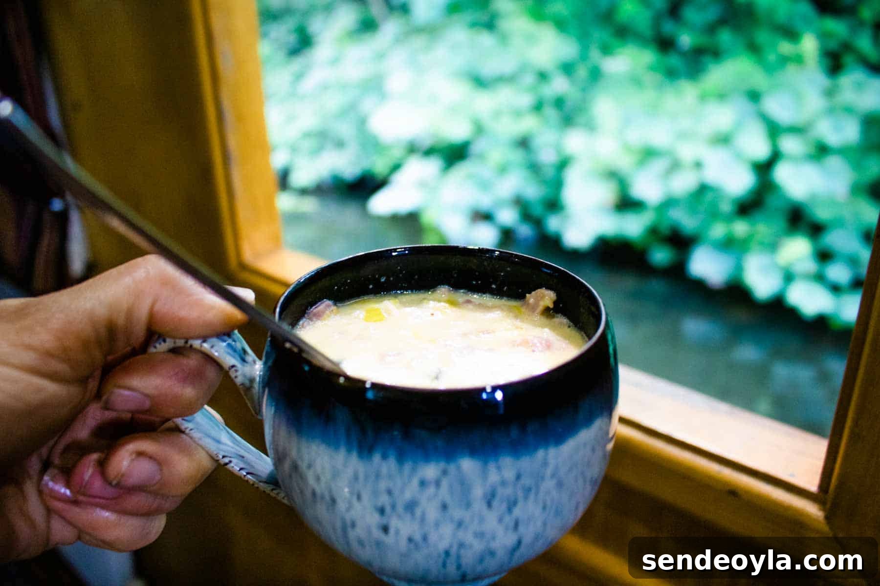 Cooking cheese and leek soup