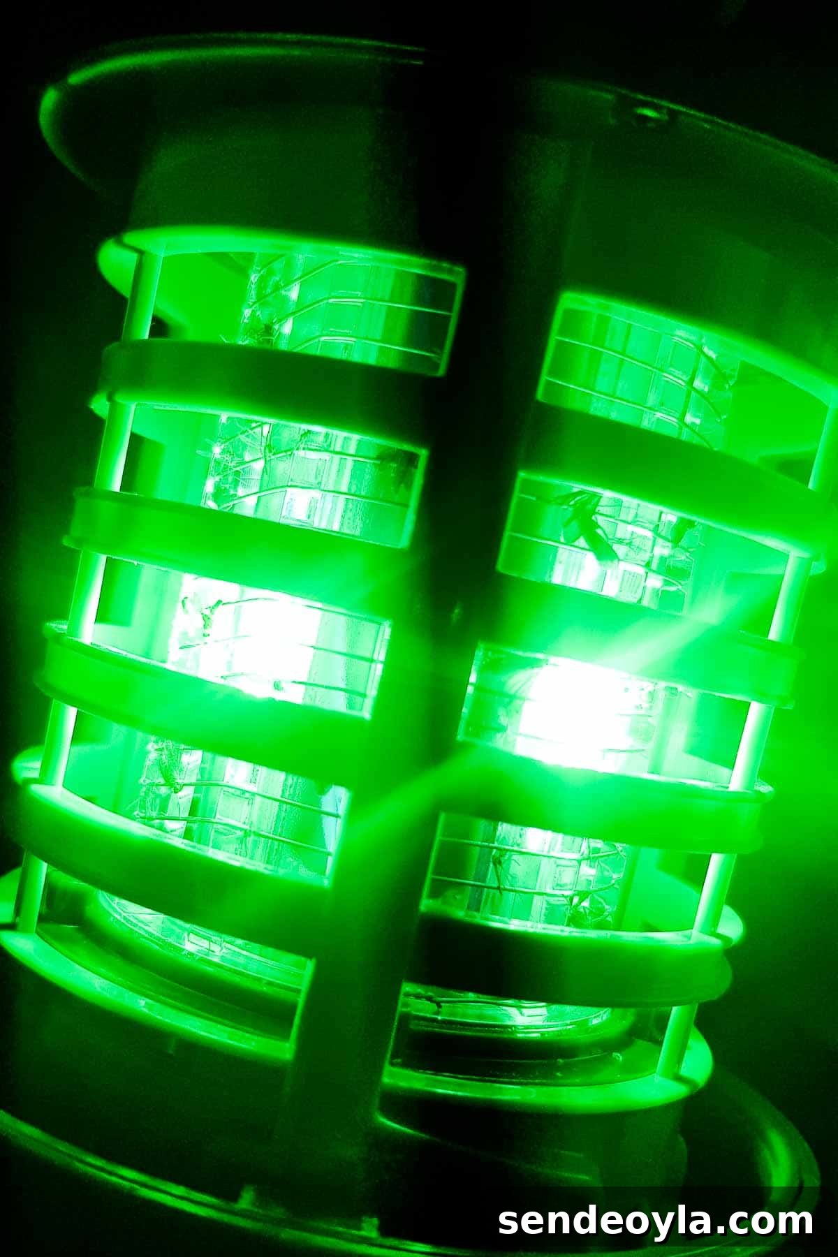 Insect-O-Cutor Nomad Fly Killer: Hands-On Review 7 Dead flies and mosquitoes stuck on an LED light