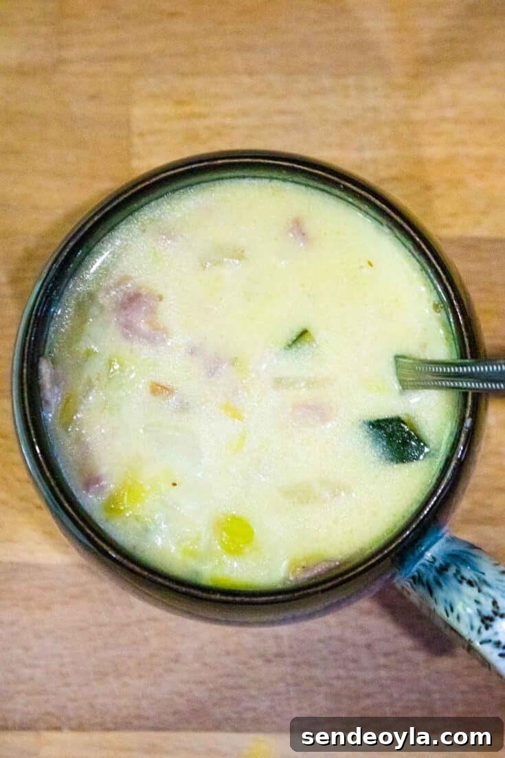 Cheese and Leek Soup With Bacon