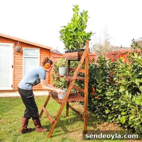 DIY Ladder Shelf for Plants
