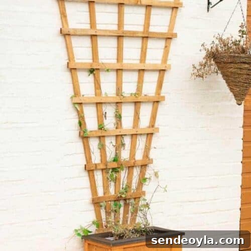 Trellis Planter DIY