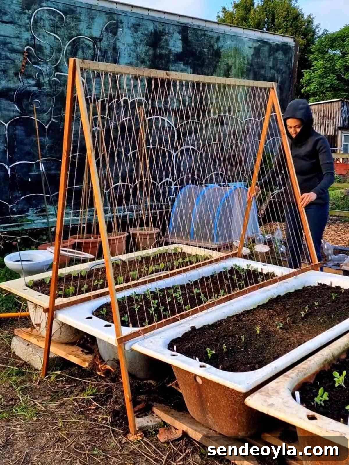 How to Build a Pea Trellis: DIY Step-by-Step Guide 2 DIY pea trellis leaning against a raised bed