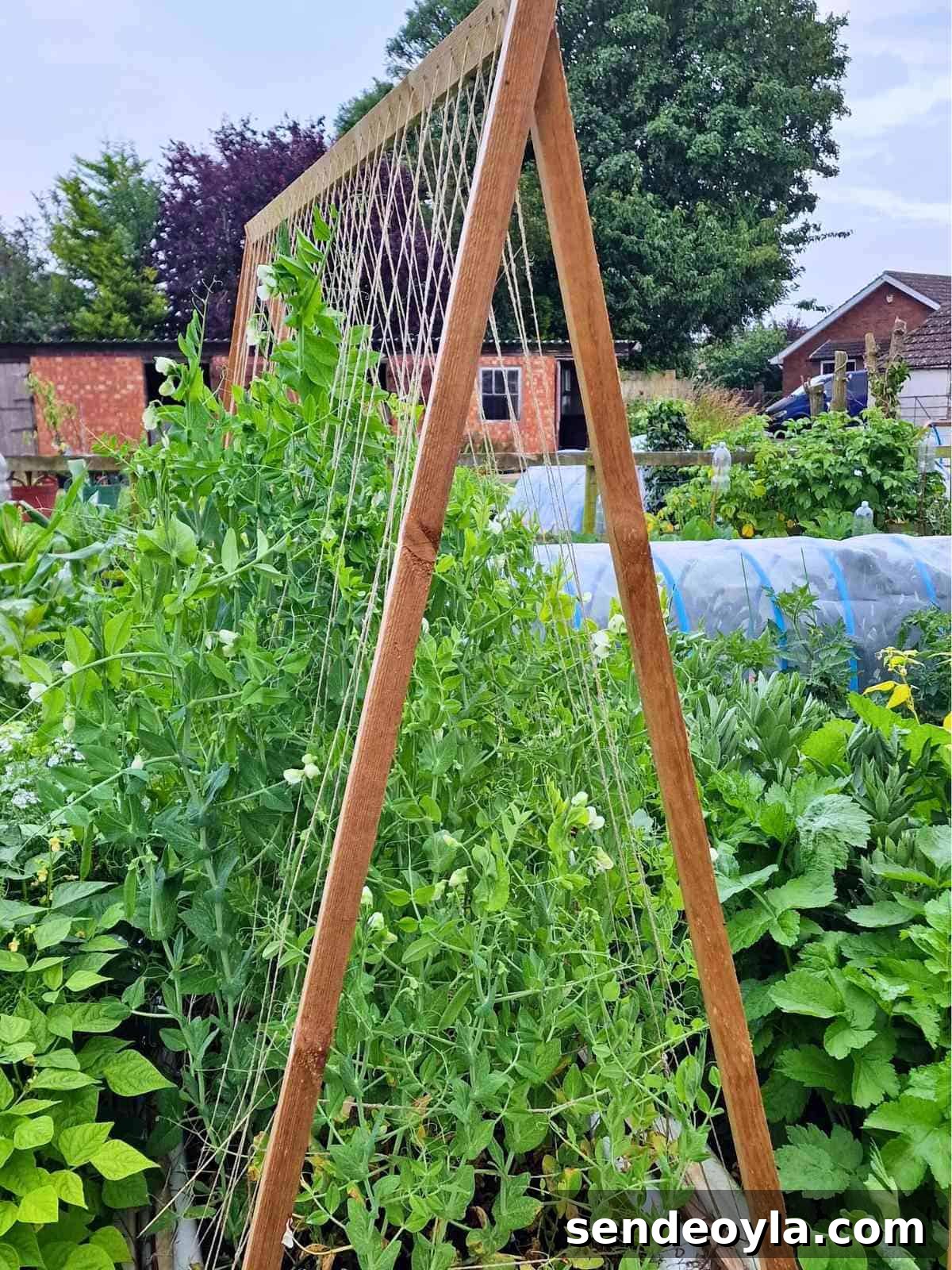 How to Build a Pea Trellis: DIY Step-by-Step Guide 3 Materials and tools for building a pea trellis