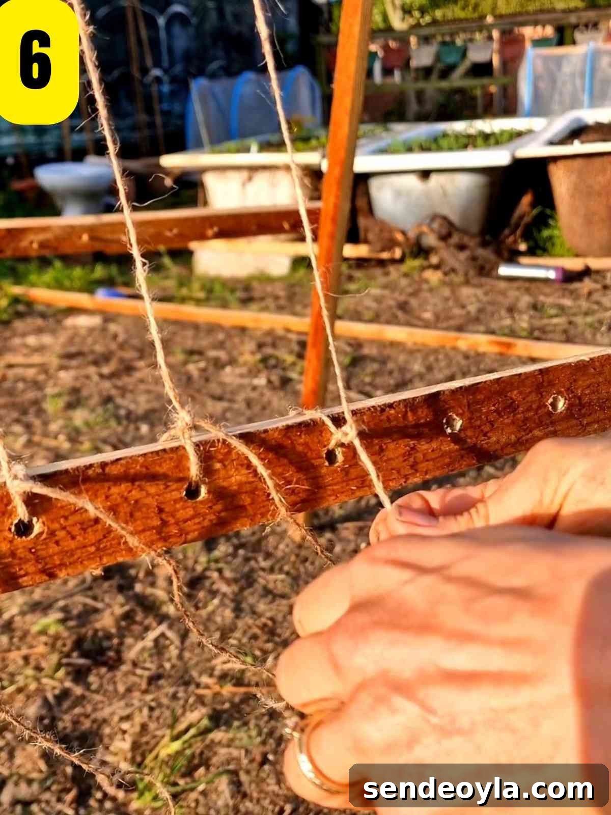 How to Build a Pea Trellis: DIY Step-by-Step Guide 9 Threading garden twine through holes