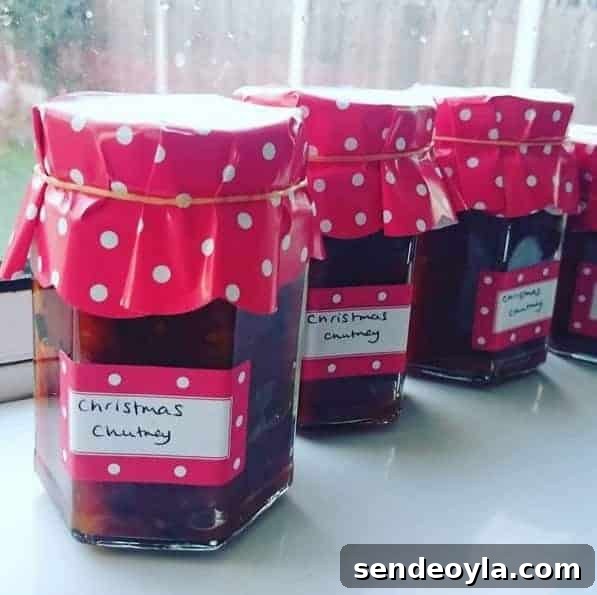 Homemade Sweet Chili Chutney Recipe for Christmas Gifts 2 Christmas chutney recipe