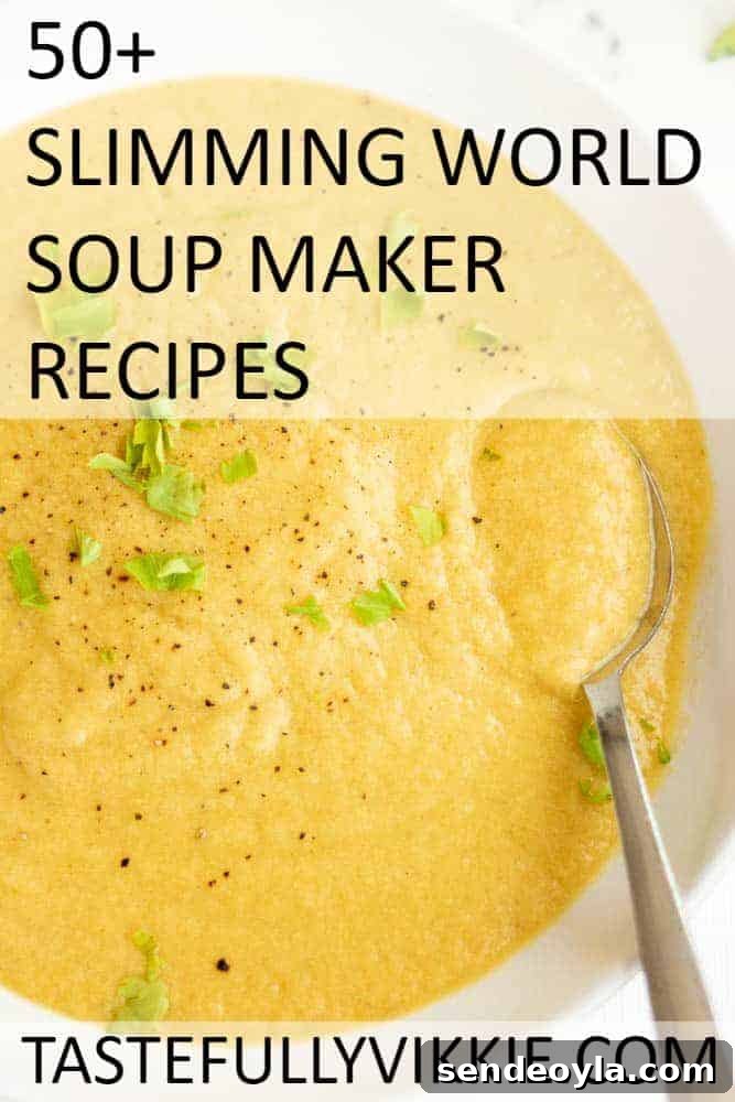 Soup maker book image