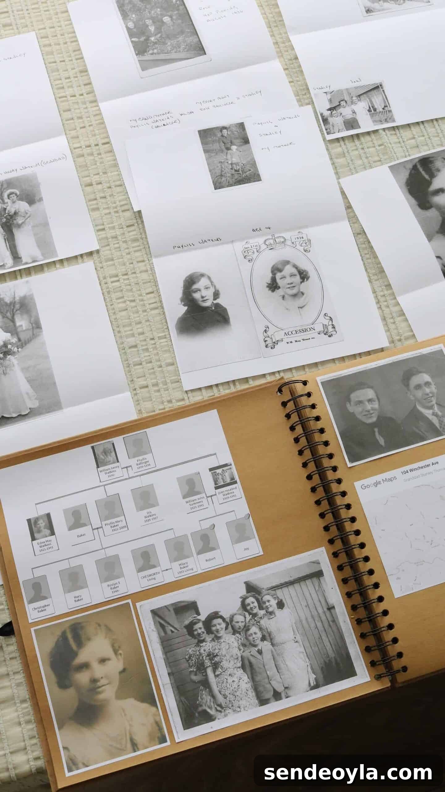 Family Tree Scrapbook Ideas: Layouts, Photos and Keepsakes 3 Tips on Scrapbooking Your Family Tree