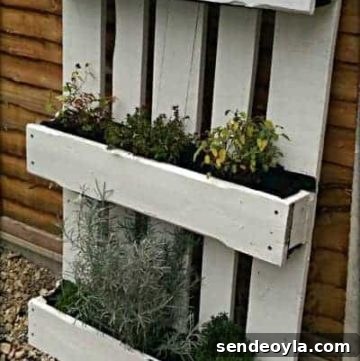 Vertical herb garden