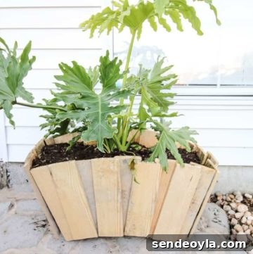 Scalloped wood planter