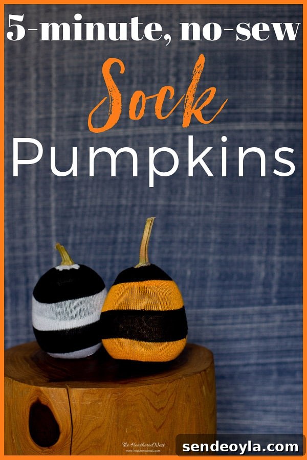 DIY Halloween Decorations from 20 Household Items 11 sock pumpkins from the Heathered Nest, 15 Household Items Re-purposed for Halloween Decor www.theboondocksblog.com