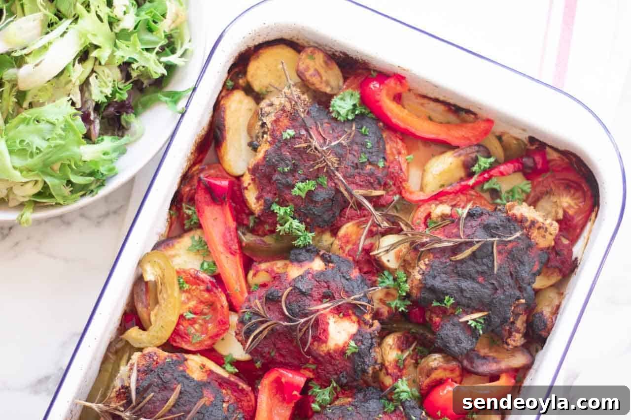 roasted vegetables and chicken and salad