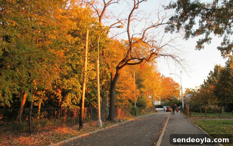 In praise of Autumn, 12 Colorful ways to help you prepare for Thanksgiving www.theboondocksblog.com