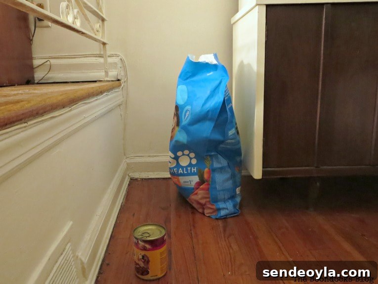 DIY Airtight Dog Food Storage Container 3 Bag of dog food and can in corner of dining room.