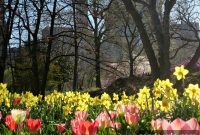 4-Year Blog Anniversary: The Most Important Lesson I Learned