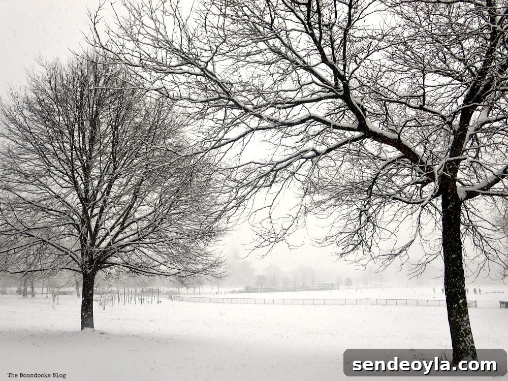 Winter park landscape - Four Year Blog Anniversary and an Important Lesson Learned