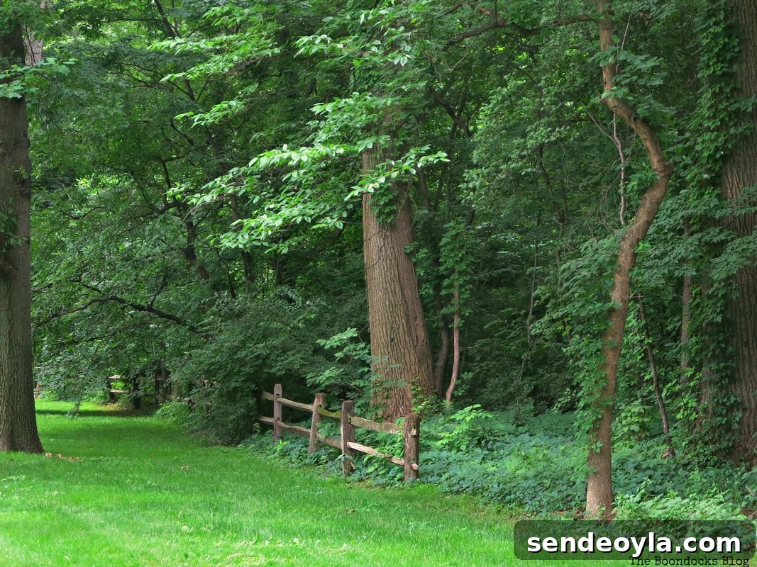 Botanical Gardens of New York - Four Year Blog Anniversary and an Important Lesson Learned