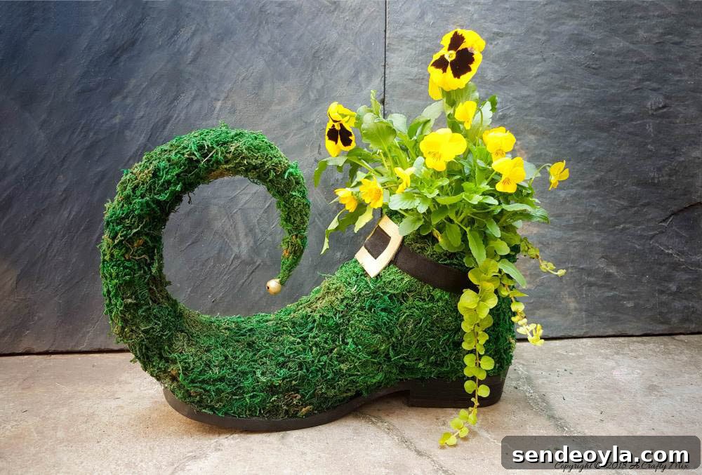 Leprechaun shoe as planter
