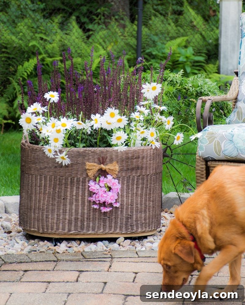 Basket planter with casters
