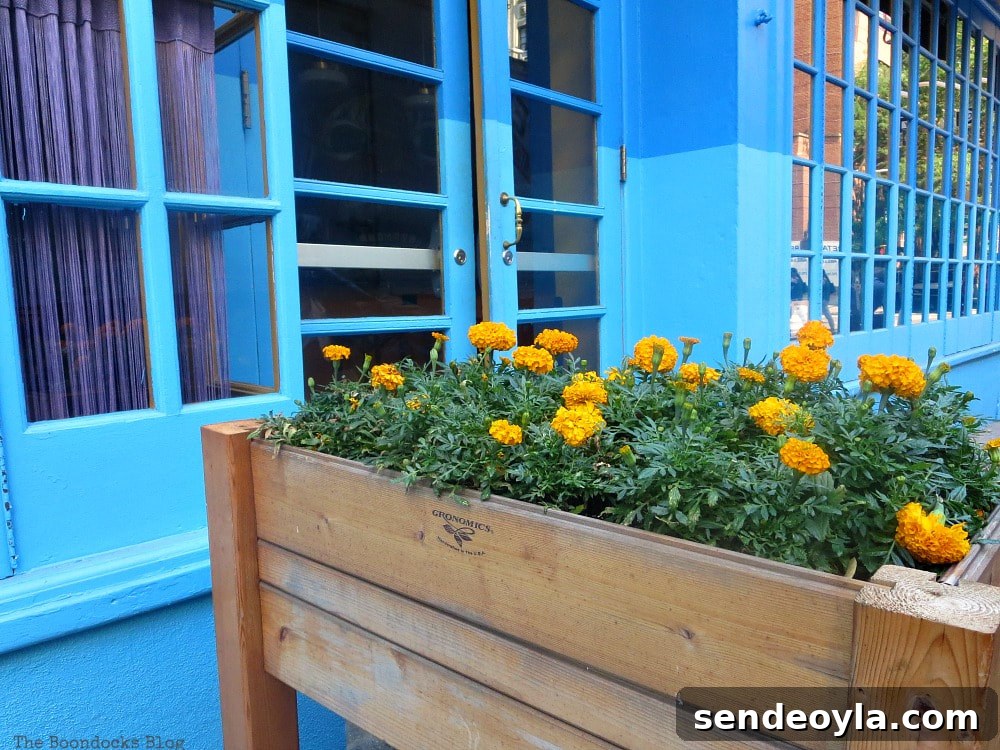 Blue storefront with marigolds, A monumental Surprise at Hudson Square in New York, www.theboondocksblog.com