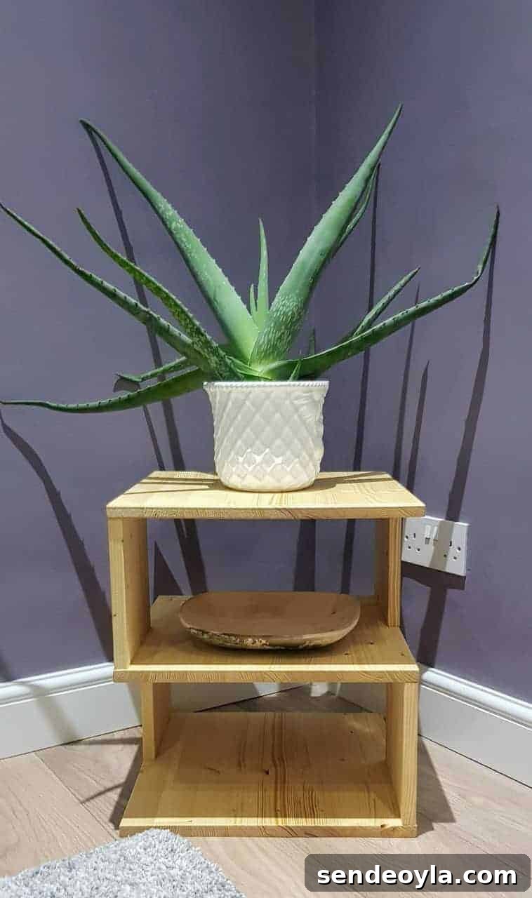 DIY S-Shaped Sculptural Side Table 4 diy plat stand