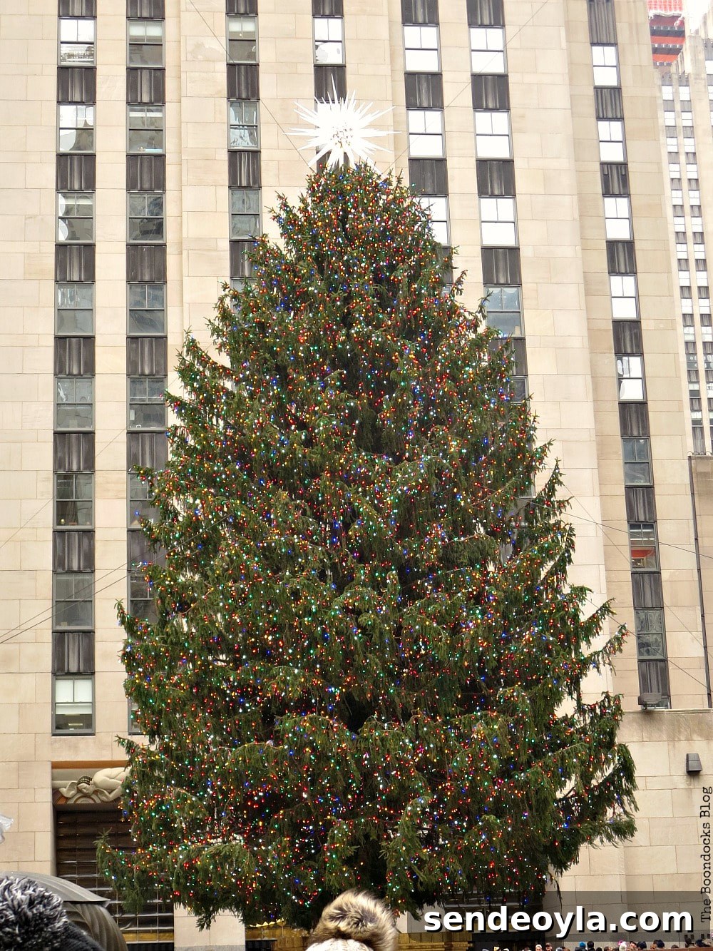 The Christmas tree which is 72 feet tall, A Visit to the Spectacular Tree at Rockefeller Center www.theboondocksblog.com