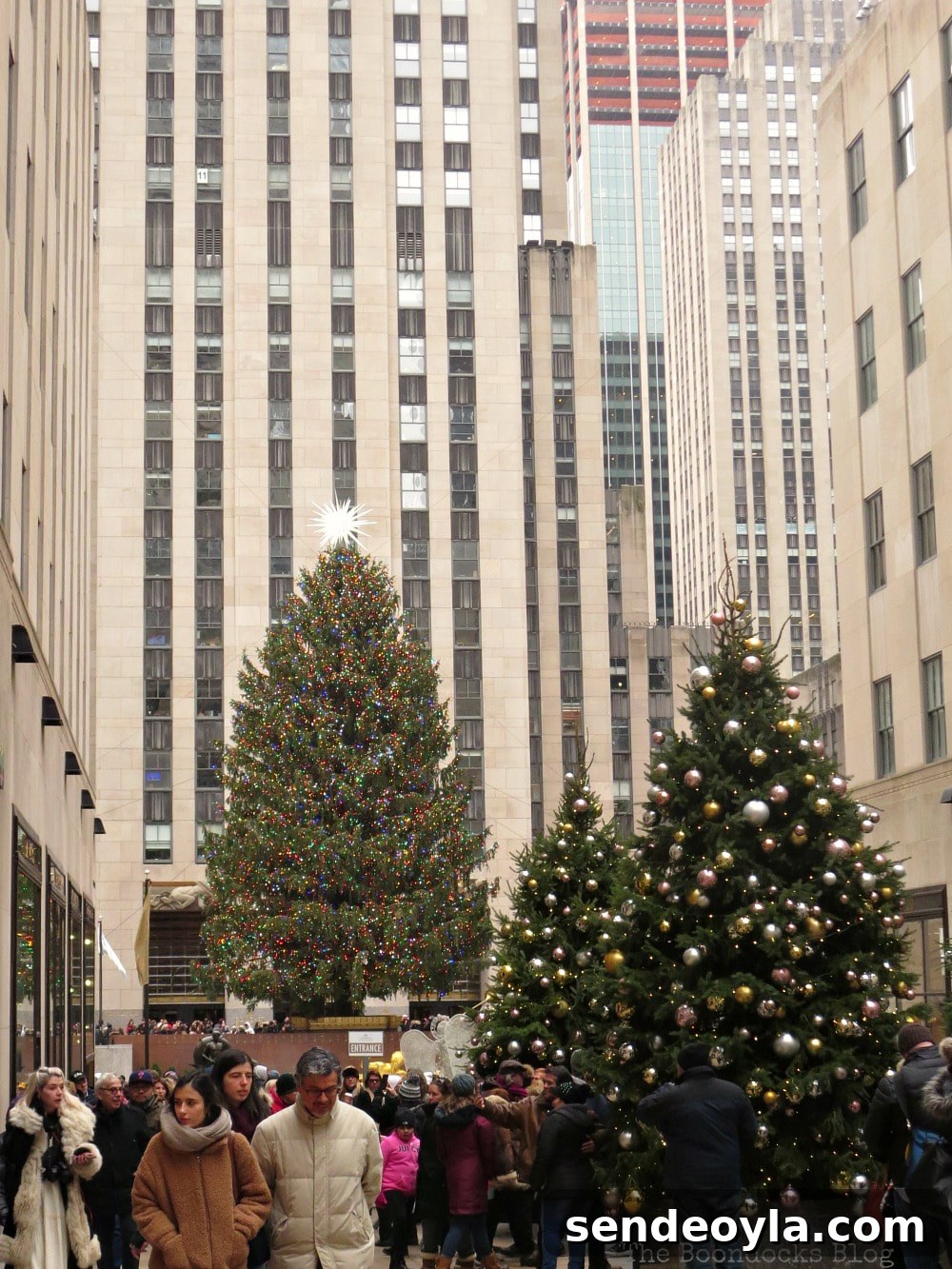 The big tree at Rockefeller Center, A Visit to the Spectacular Tree at Rockefeller Center www.theboondocksblog.com