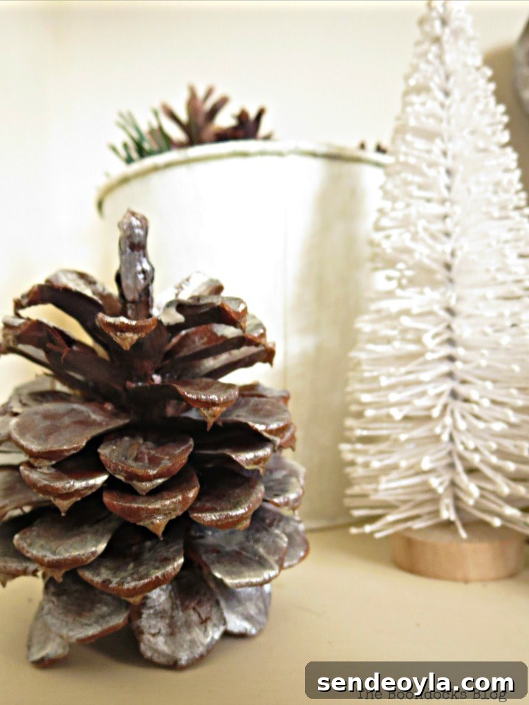 Upcycle Old Decor into Bright Christmas Vignettes 9 Close up of pine cone, How to Reuse Old Decor to Make Bright Christmas Vignettes www.theboondocksblog.com