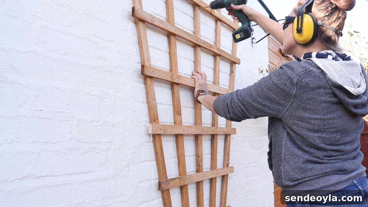 How to Build and Install a Wooden Trellis 16 drilling through trellis
