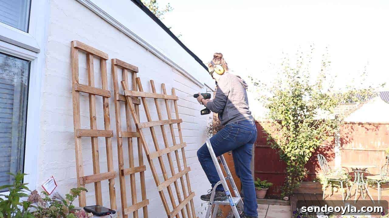 How to Build and Install a Wooden Trellis 17 drilling through brick wall with 6mm masonry screw