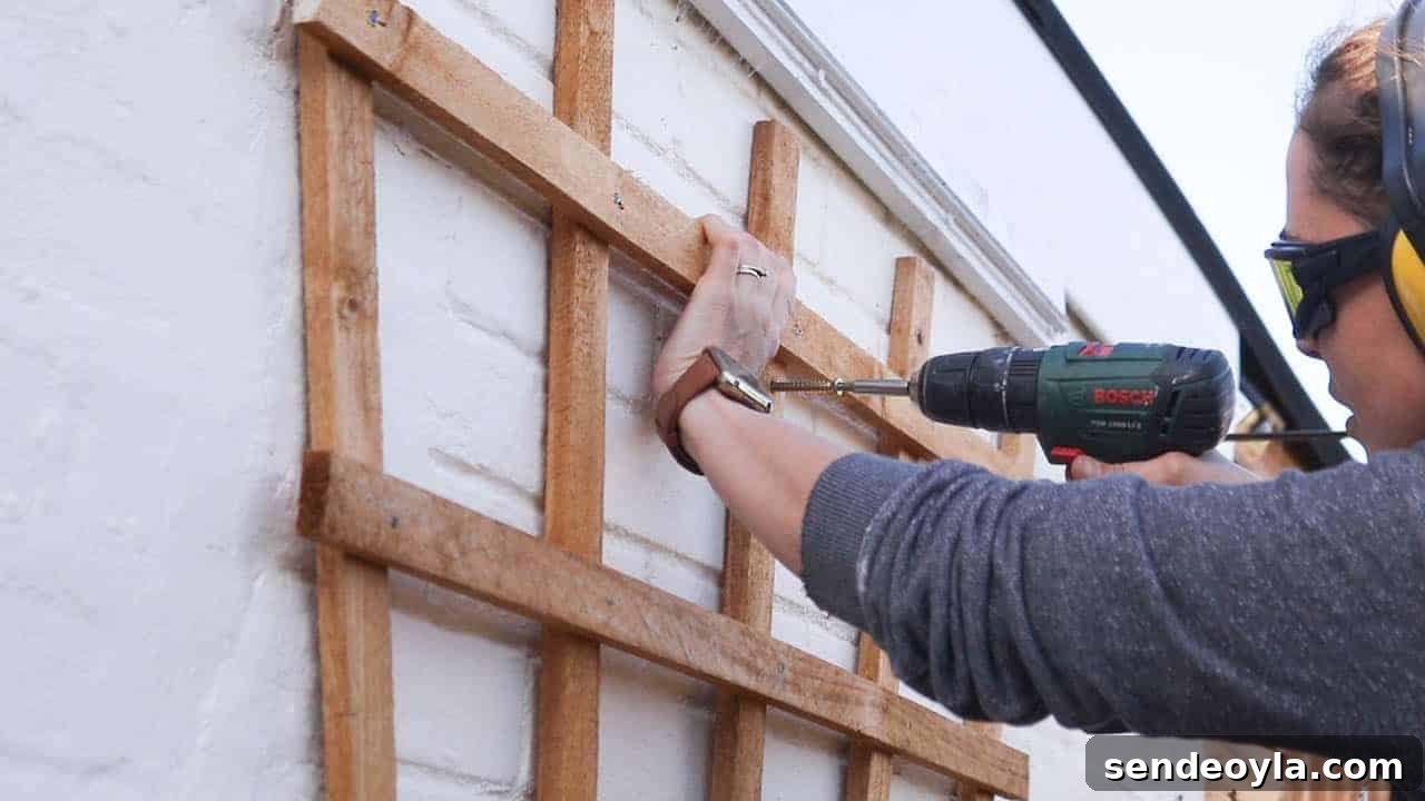 How to Build and Install a Wooden Trellis 18 screwing concrete screws through trellis to fix to brick wall