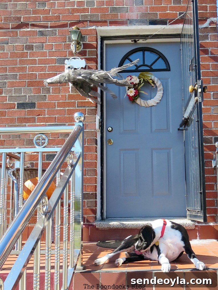 Front door in sun