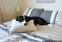 How to Create a Calm Bedroom: Serene Decor Ideas