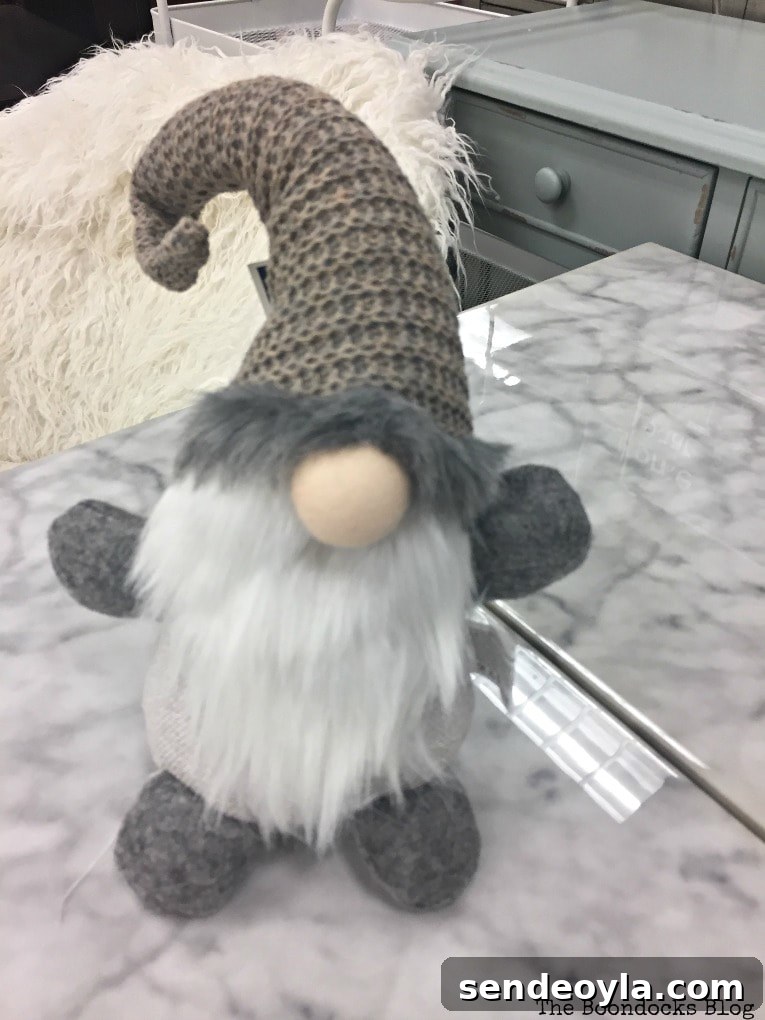 Gnome seen at retail store