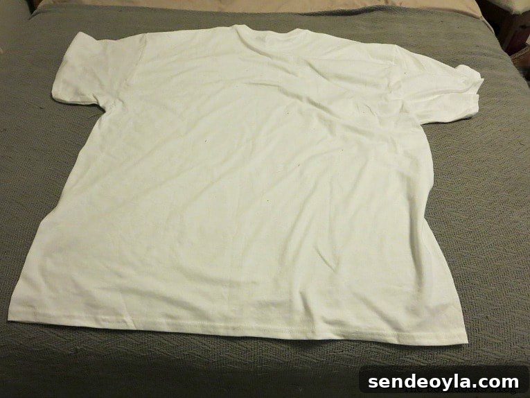 DIY Gnome Making Mistakes to Avoid 4 white t-shirt