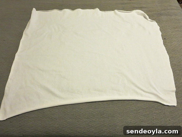 DIY Gnome Making Mistakes to Avoid 5 rectangle cut from t-shirt