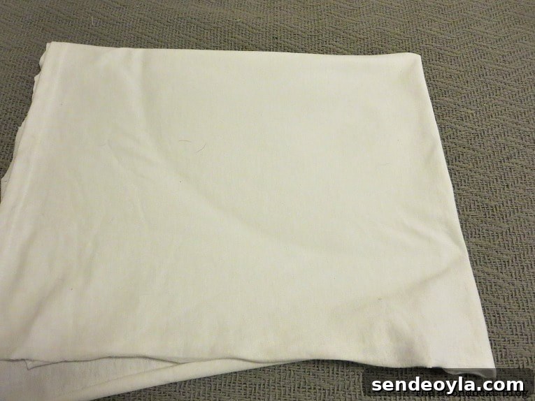 folding the rectangle