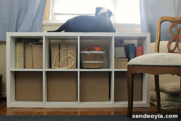 DIY Cardboard Paper Organizer for Your Desk 2 Kallax storage bin holding cardboard paper organizer storage boxes and a dog sitting on top.
