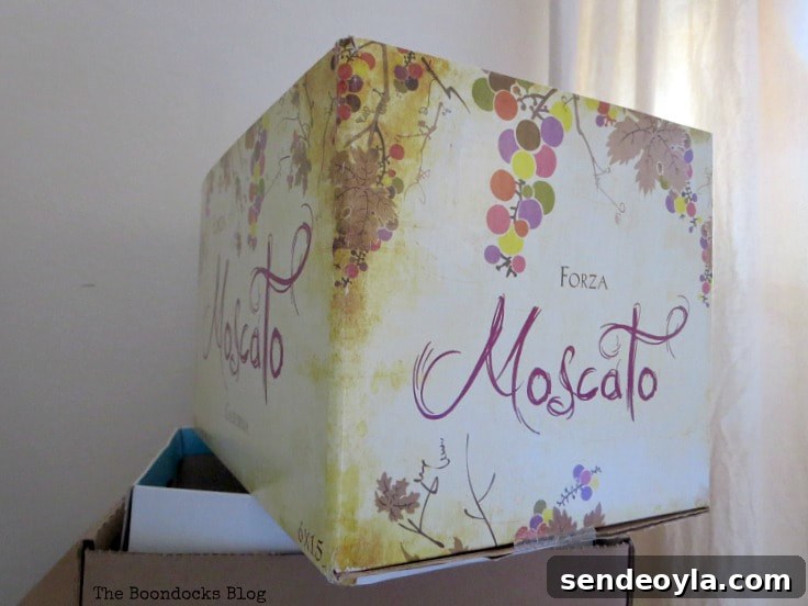 DIY Cardboard Paper Organizer for Your Desk 5 Empty cardboard box.