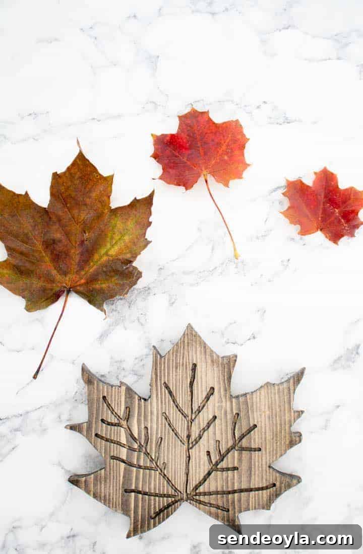 Build Your Own Wooden Maple Leaf Trivet 3 wooden maple leaf leaf against its original